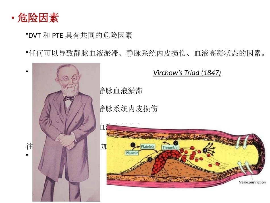 肺栓塞(14)_第7页