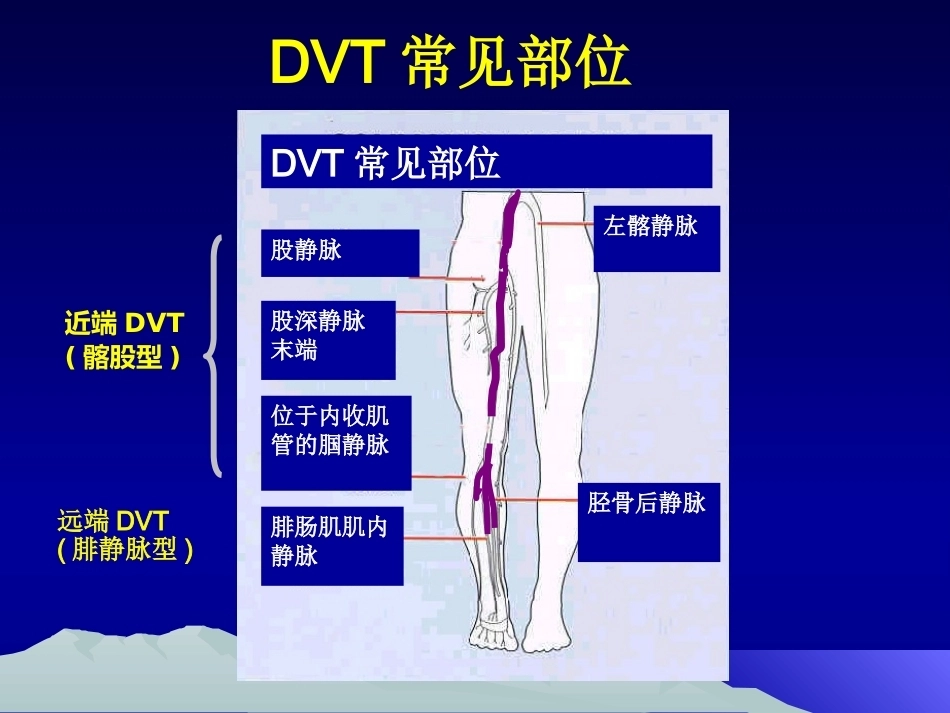 肺栓塞(20)_第10页