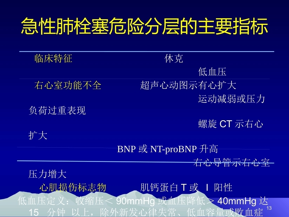 肺栓塞(20)_第13页