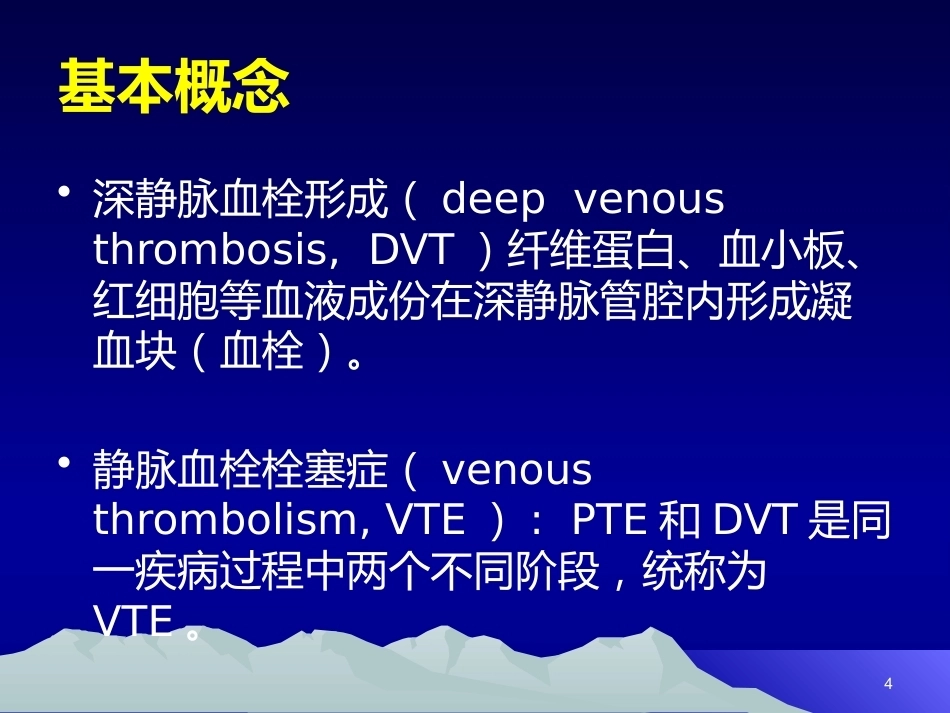 肺栓塞(20)_第4页