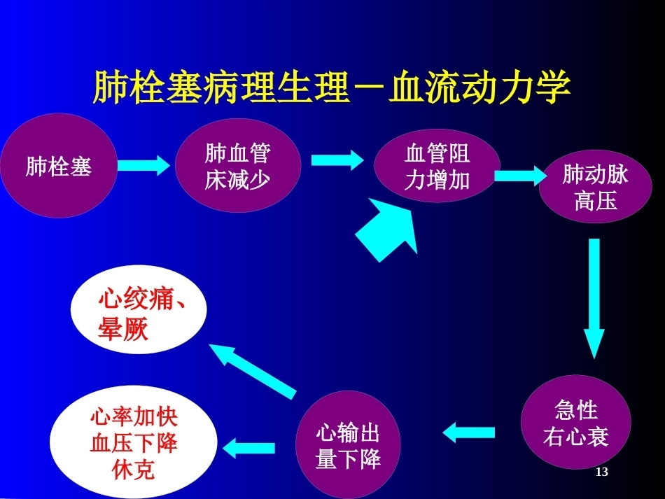 肺栓塞(21)_第13页