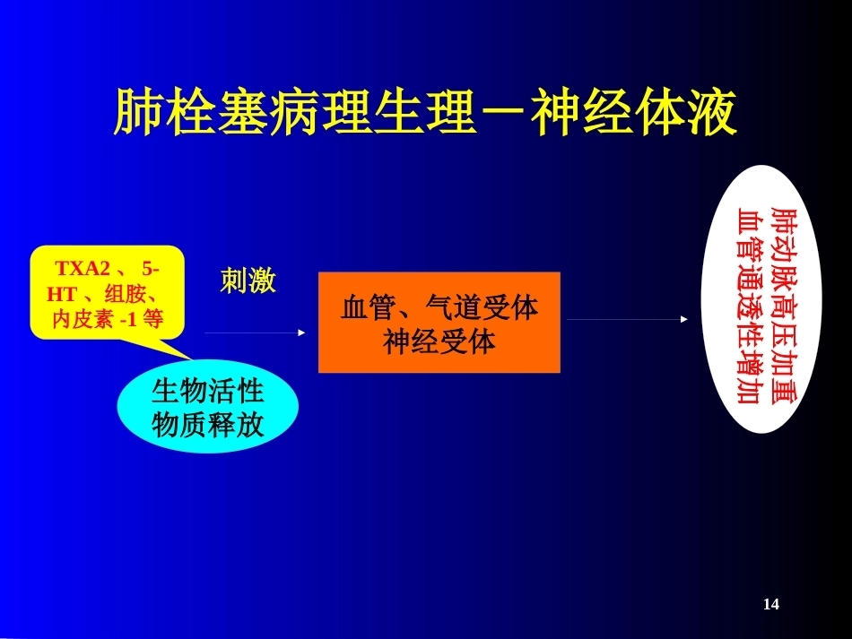 肺栓塞(21)_第14页