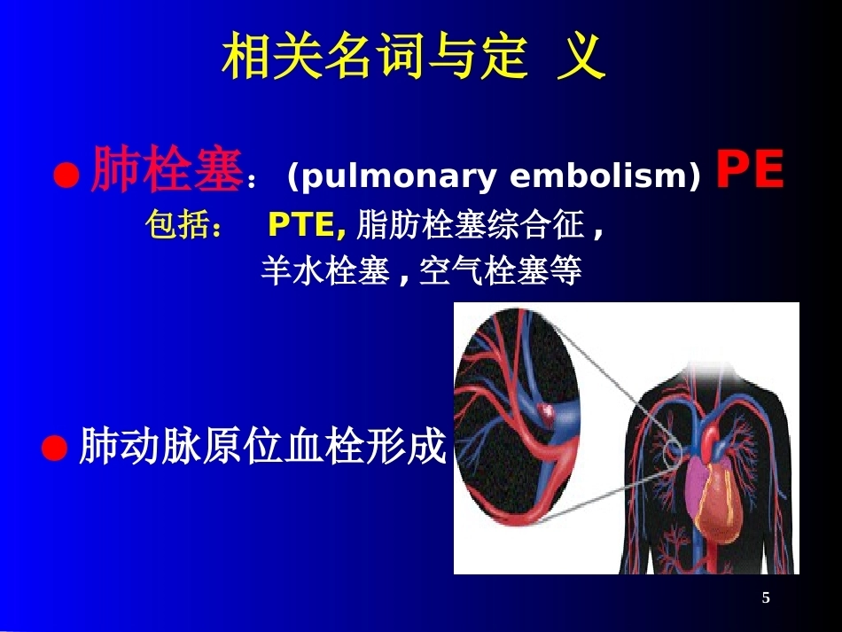 肺栓塞(21)_第5页