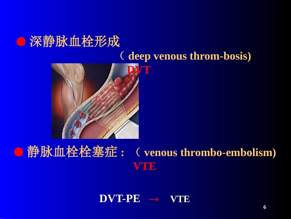 肺栓塞(21)_第6页