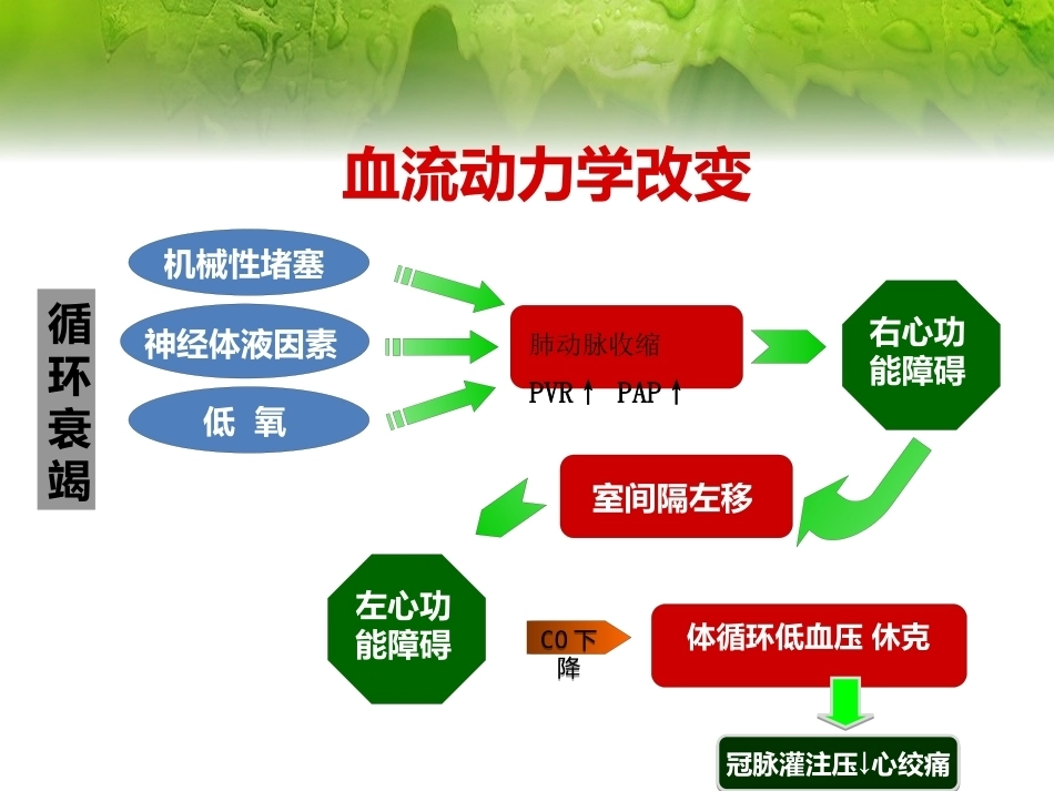 肺栓塞(23)_第12页