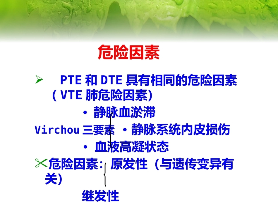 肺栓塞(23)_第6页