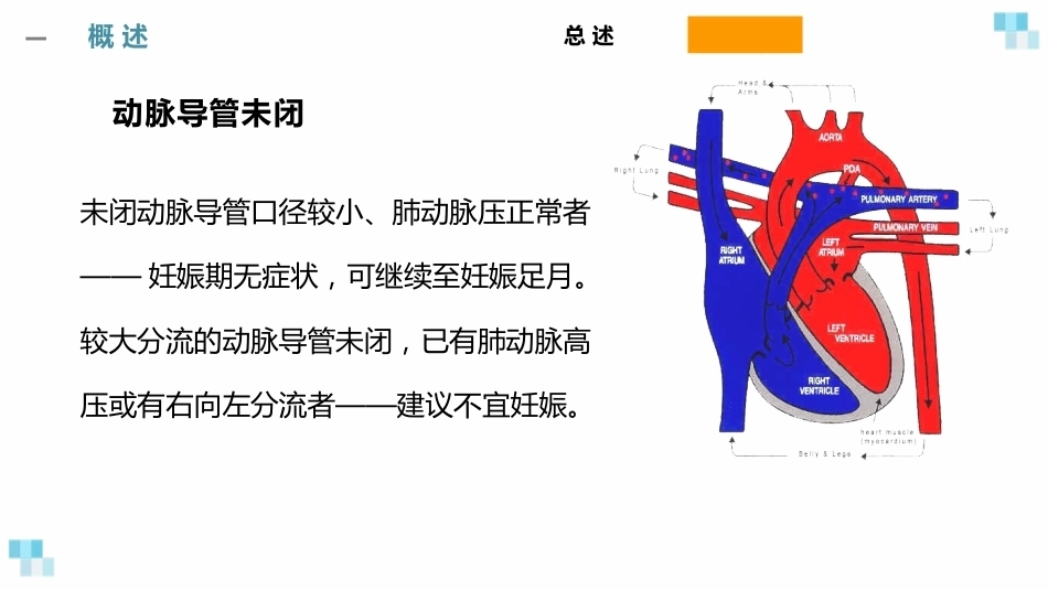 妊娠合并心脏病经典课件_第10页