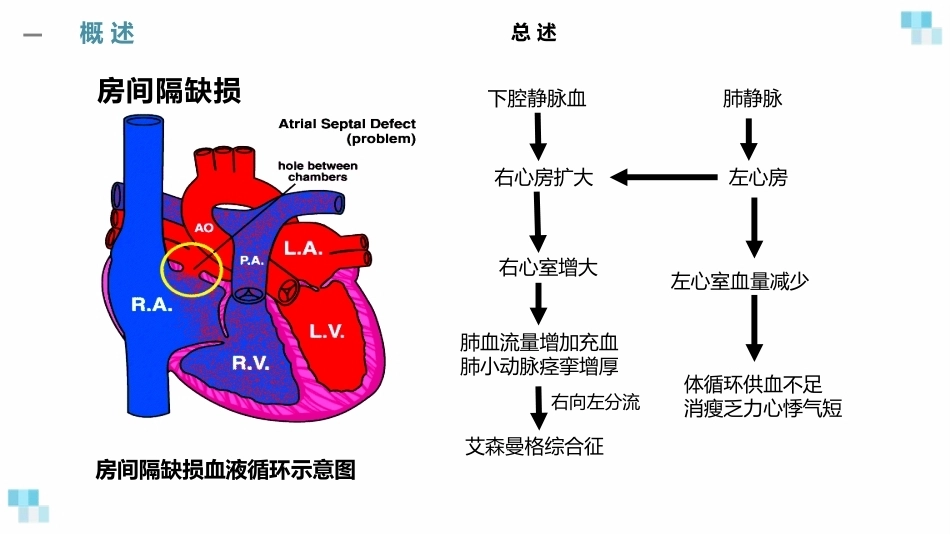 妊娠合并心脏病经典课件_第6页
