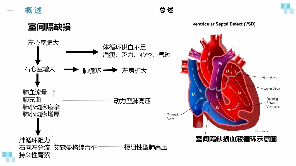妊娠合并心脏病经典课件_第7页