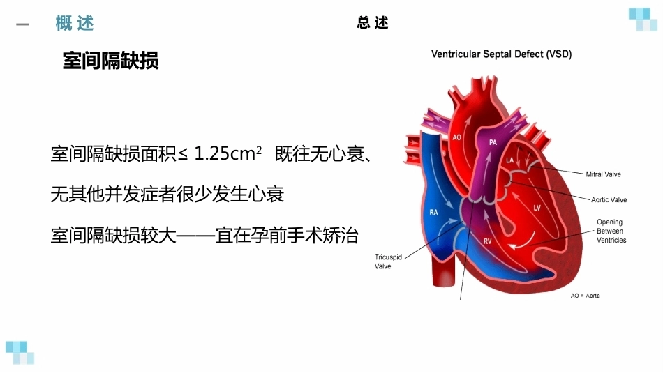 妊娠合并心脏病经典课件_第8页