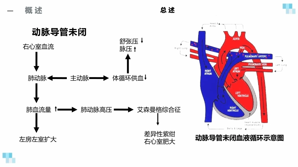 妊娠合并心脏病经典课件_第9页