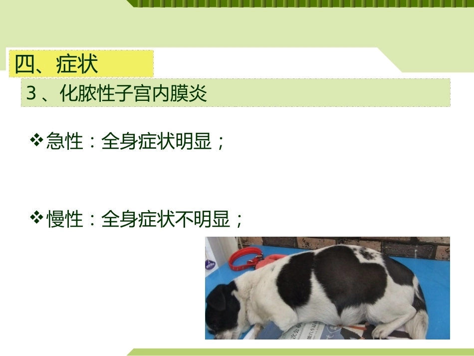 兽医产科学产后期疾病子宫内膜炎_第12页