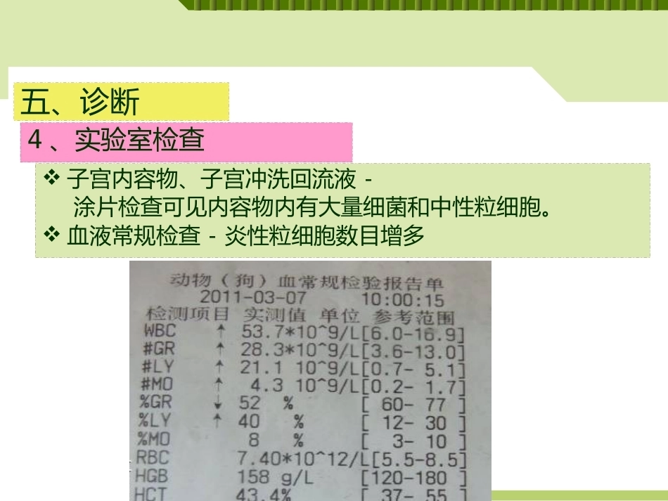 兽医产科学产后期疾病子宫内膜炎_第15页