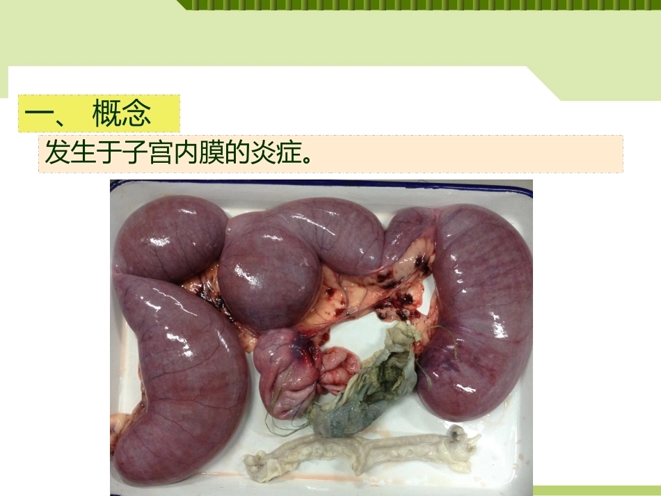 兽医产科学产后期疾病子宫内膜炎_第4页