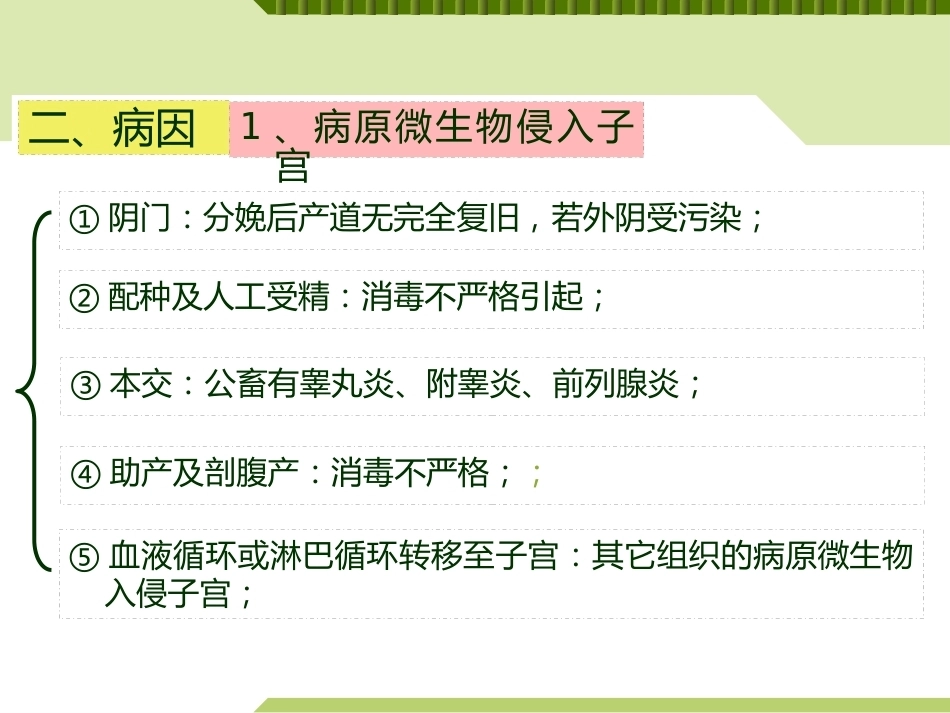 兽医产科学产后期疾病子宫内膜炎_第6页