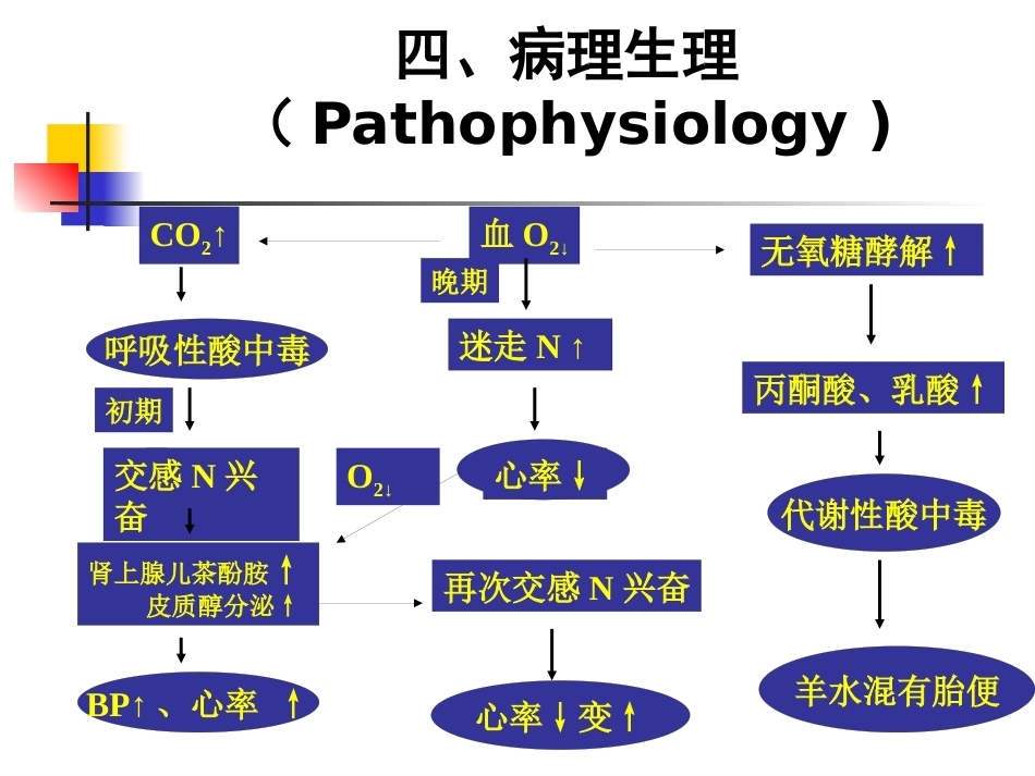 胎儿宫内窘迫_第10页
