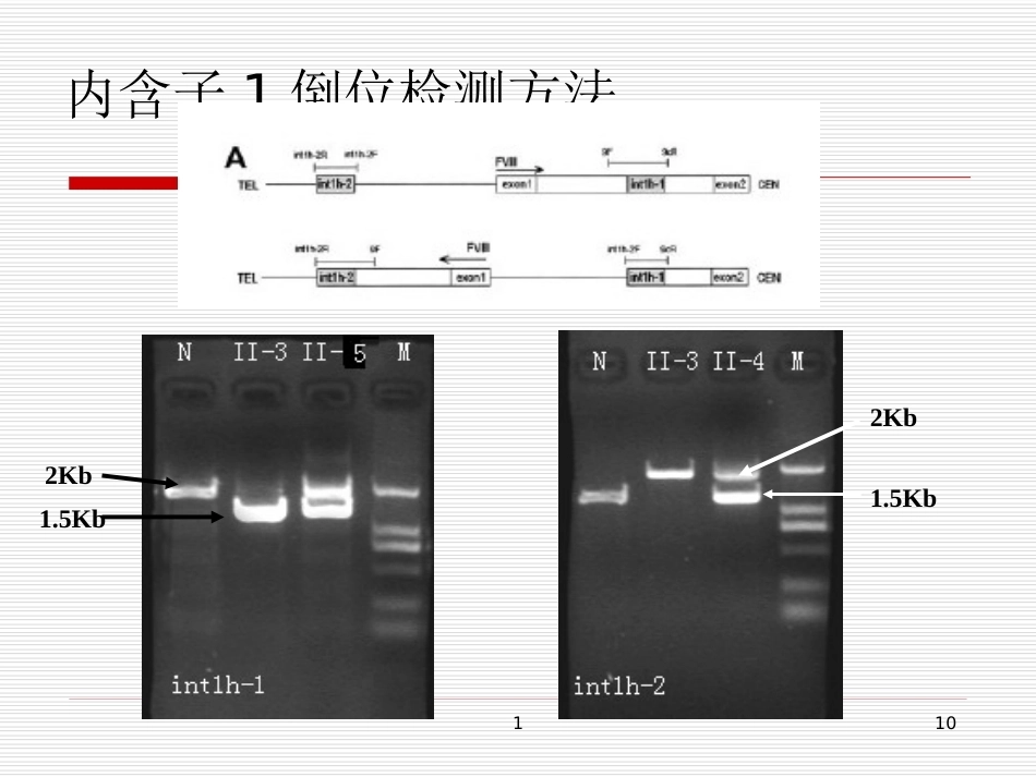 完善血友病的基因诊断体系_第10页