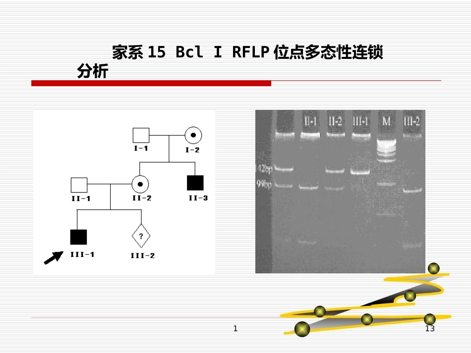 完善血友病的基因诊断体系_第13页