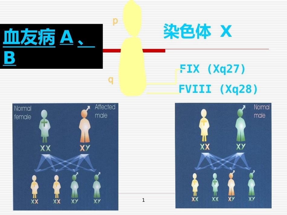 完善血友病的基因诊断体系_第2页