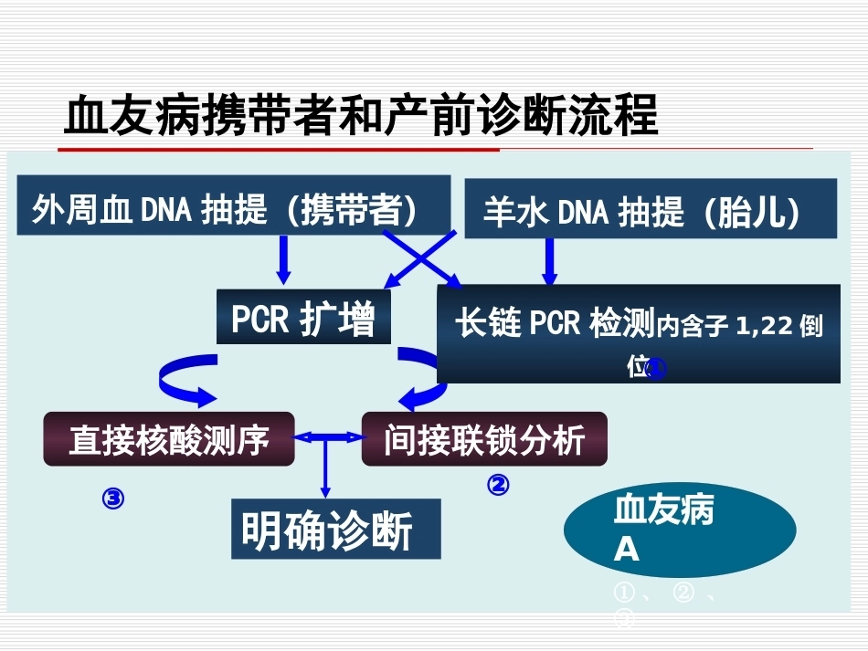 完善血友病的基因诊断体系_第5页