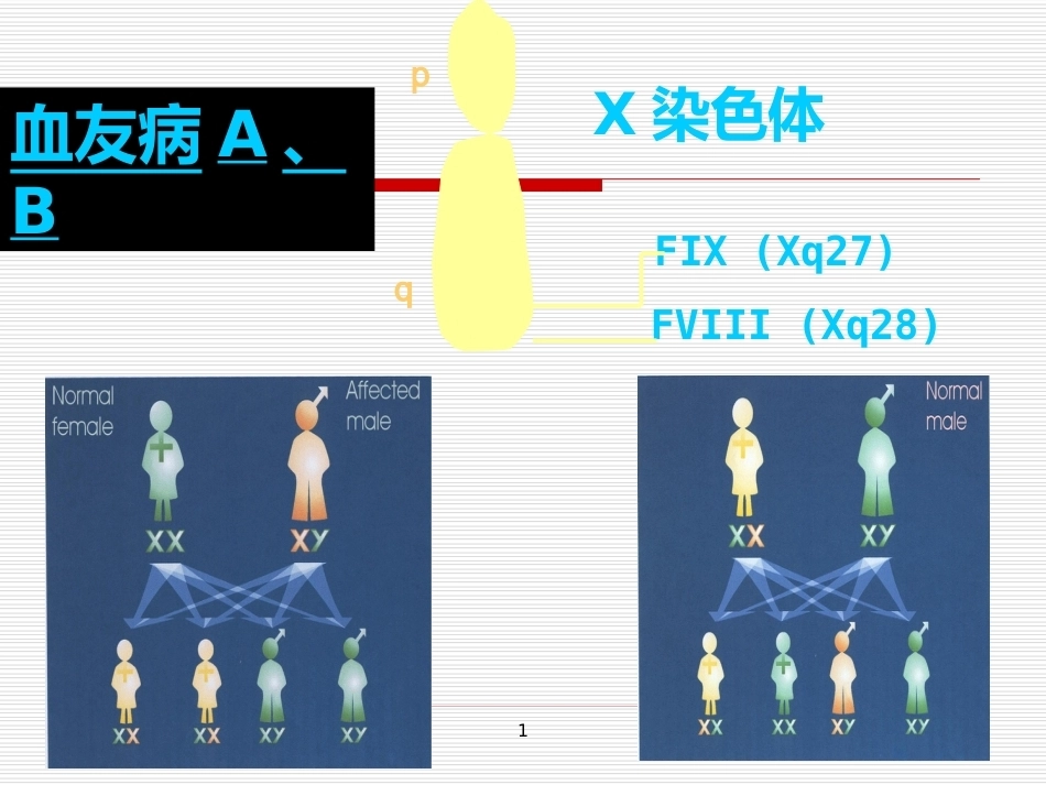 完善血友病的基因诊断体系_第6页