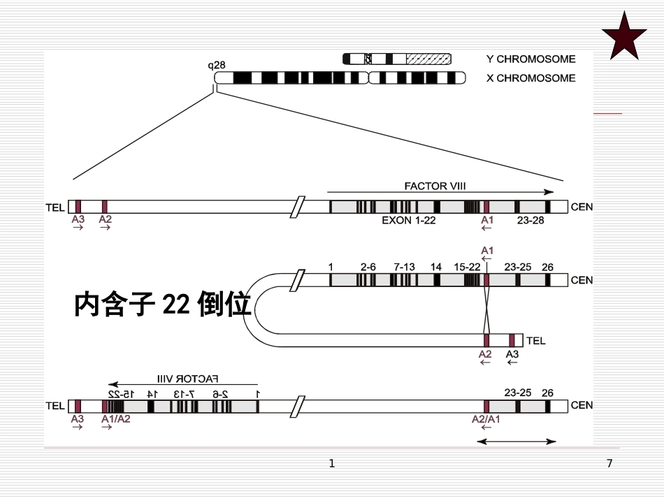 完善血友病的基因诊断体系_第7页