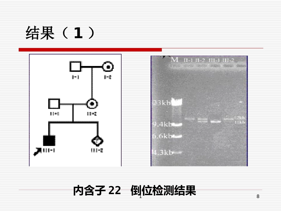 完善血友病的基因诊断体系_第8页