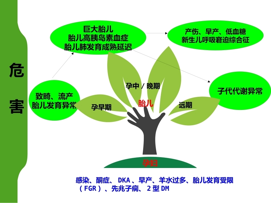 妊娠糖尿病营养食谱制作_第7页