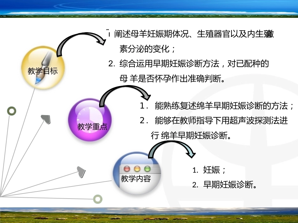 羊的早期妊娠诊断_第2页