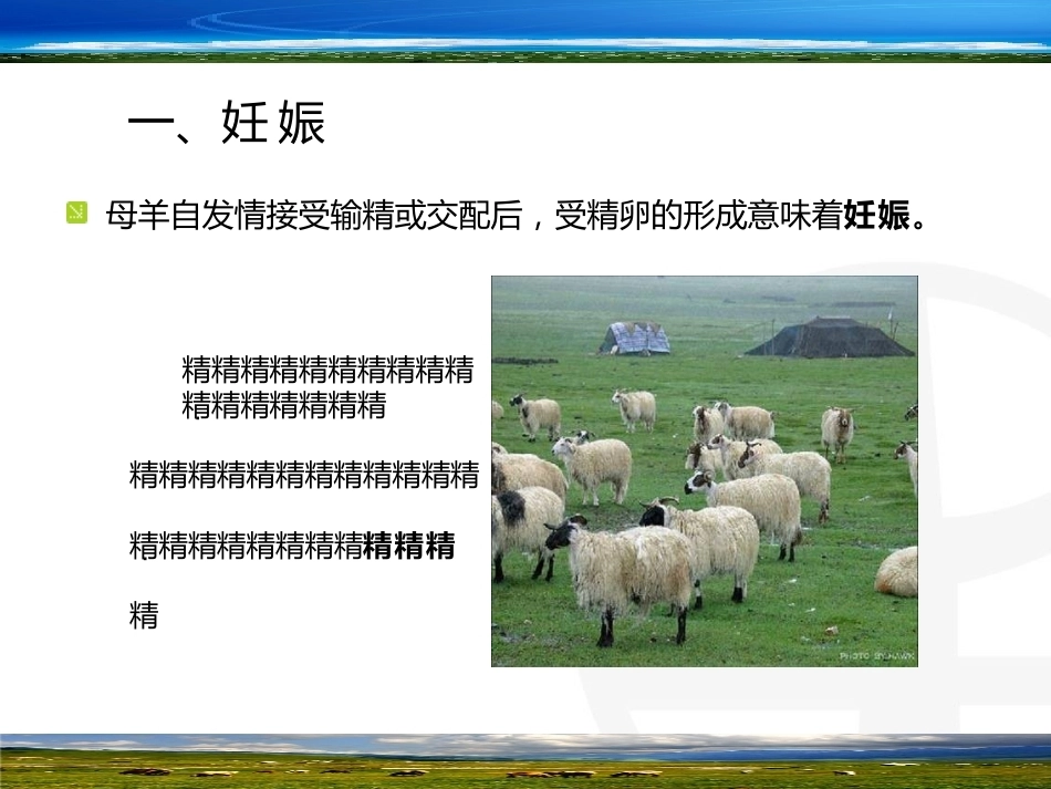 羊的早期妊娠诊断_第3页