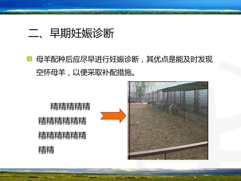 羊的早期妊娠诊断_第5页