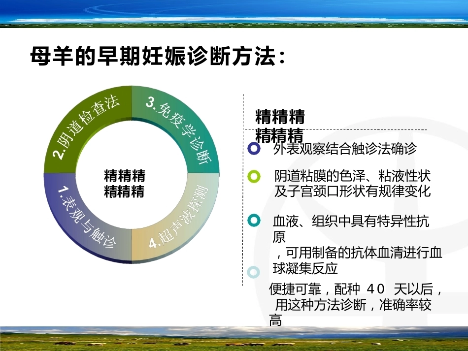 羊的早期妊娠诊断_第6页