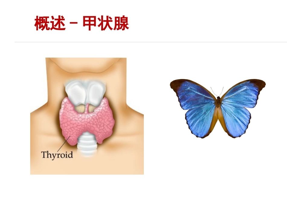 妊娠与甲状腺疾病资料_第3页