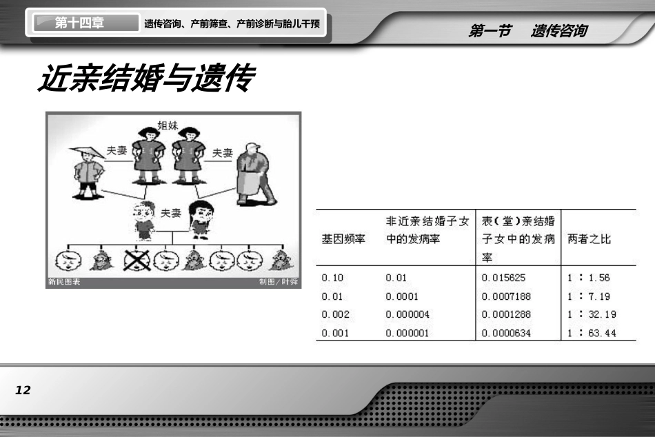 遗传咨询产前筛查产前诊断与胎儿干预ppt课件_第12页