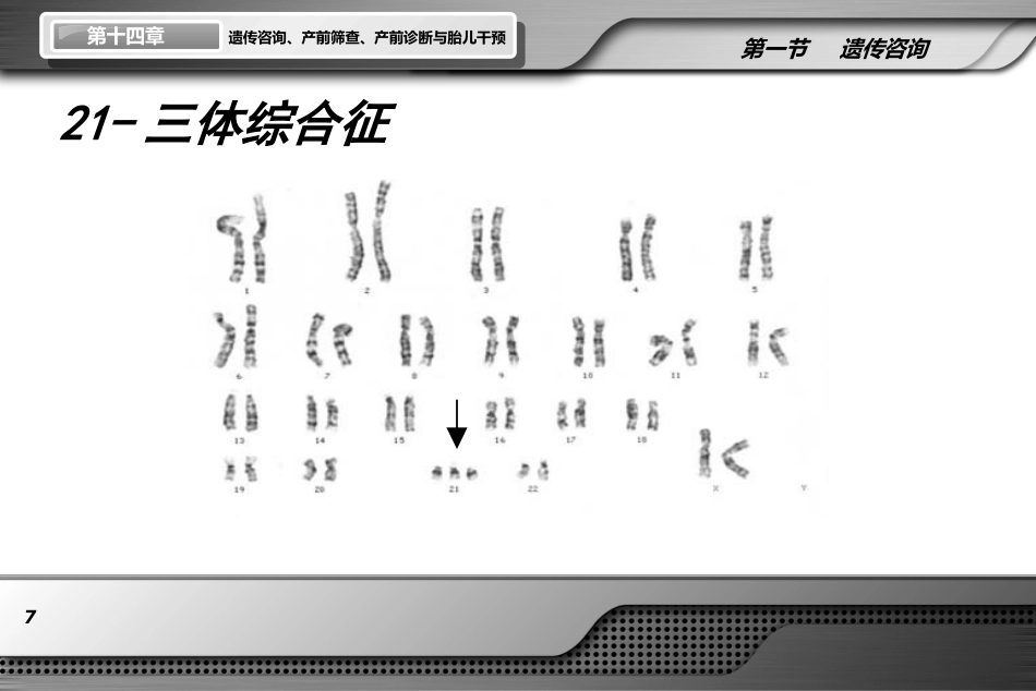 遗传咨询产前筛查产前诊断与胎儿干预ppt课件_第7页