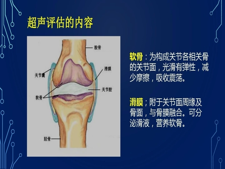 血友病关节超声检查的必要性_第11页
