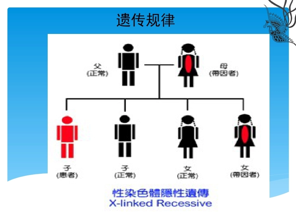 血友病介绍_第8页