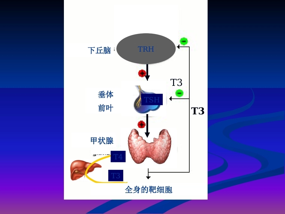 妊娠与甲状腺疾病 甲减与甲亢_第4页