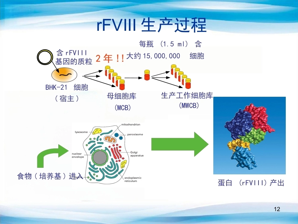血友病替代与辅助治疗(医护版)_第12页