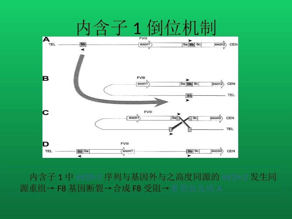 血友病与血管性血友病的诊断与治疗_第12页
