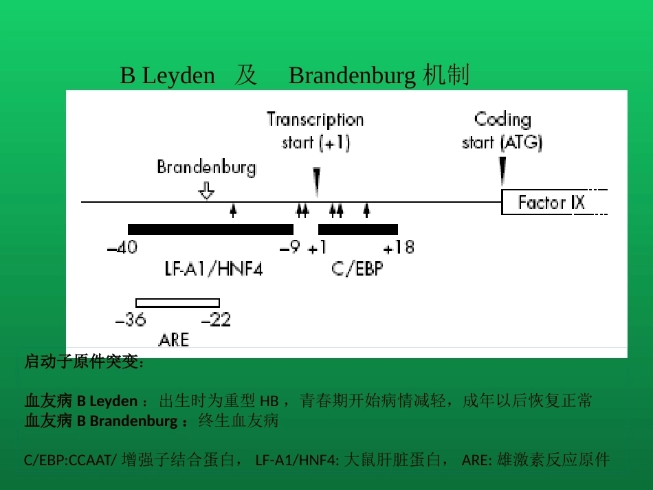 血友病与血管性血友病的诊断与治疗_第14页