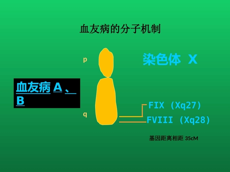 血友病与血管性血友病的诊断与治疗_第8页