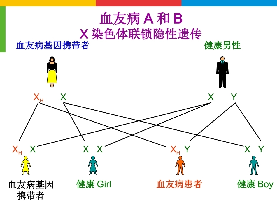 血友病综合治疗_第11页