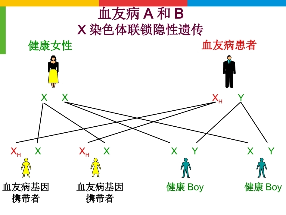 血友病综合治疗_第12页