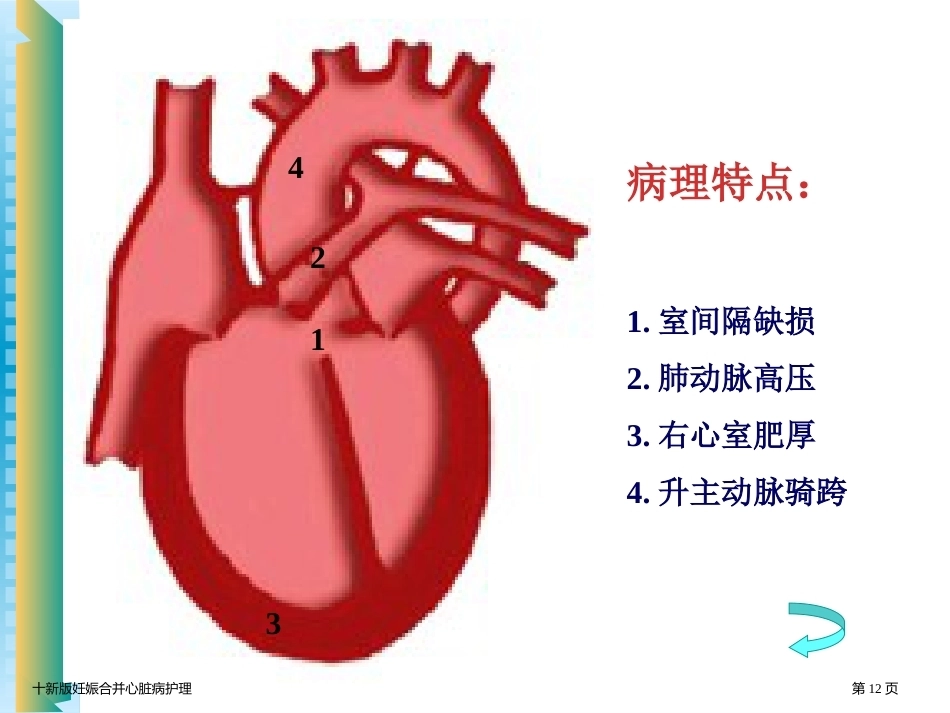 十新版妊娠合并心脏病护理_第12页