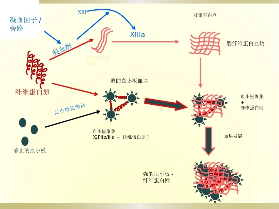 王谢桐--产科出血的凝功能血评估与处理_第11页