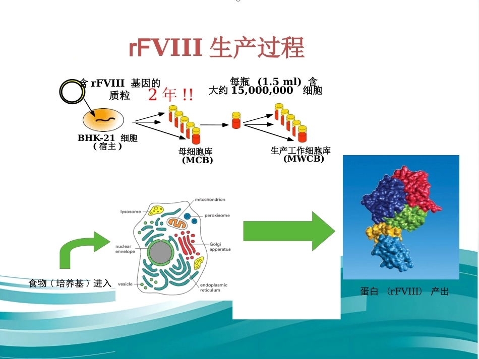 血友病临床路径_第14页