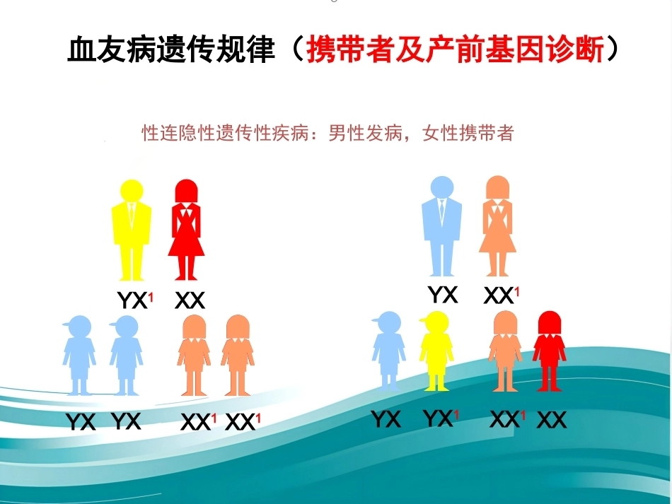 血友病临床路径_第3页