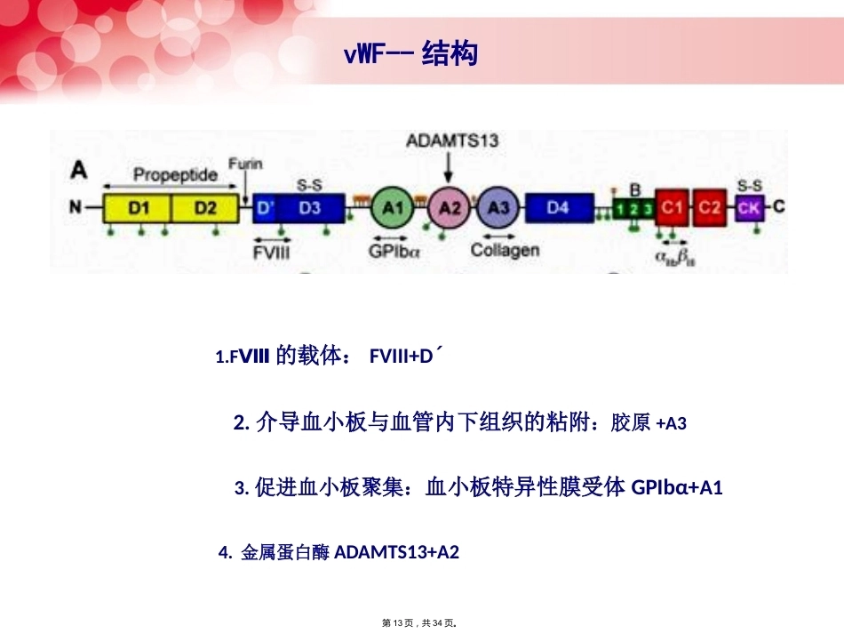 血管性血友病_第13页