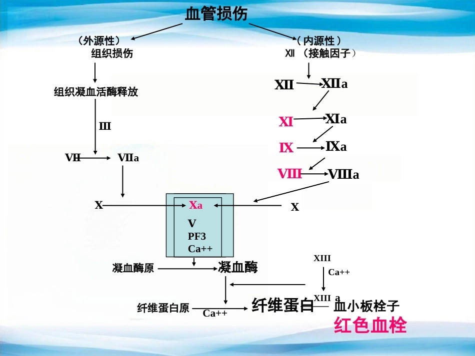 血友病2_第12页
